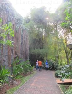 See Komodo in Ragunan Zoo Jakarta -16